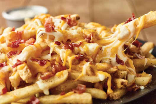 Outback Steakhouse Appetizers Menu 6 Aussie Cheese Fries